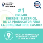 Drumul energiei electrice, de la producător până la consumatorul casnic - Ghidul consumatorului de energie electrică și gaze naturale